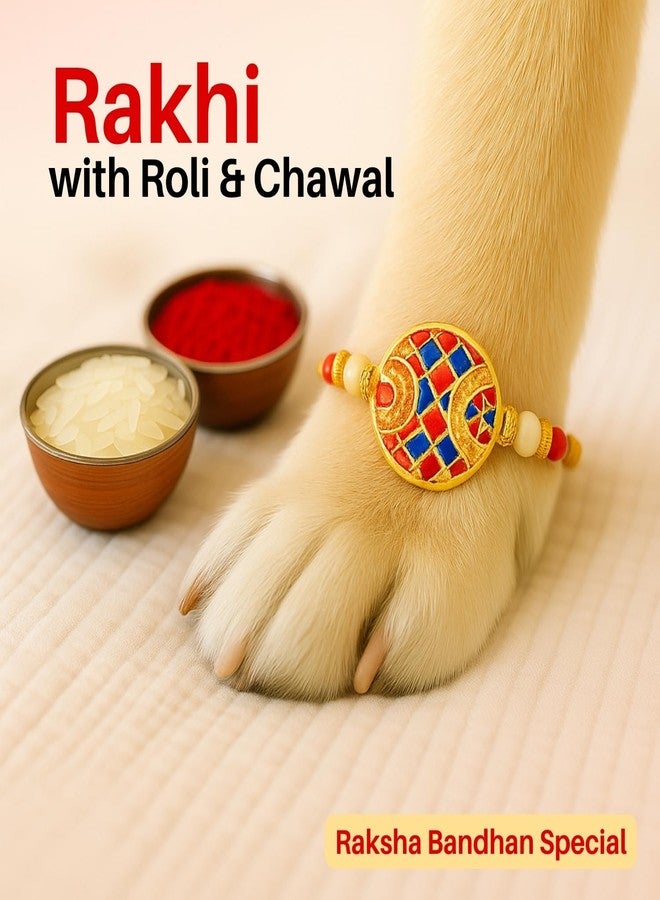 Sage Square Paw Bandhan Rakhi for Dog, Cat & Small Pets | Celebrate Bonds of Love This Raksha Bandhan | Cute Rakhi with Beads, Decorative Threads | Gift for Pet Lovers & Furry Companions (Type 7) - Image 3